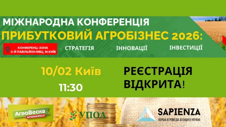 Як заробляти більше: стратегії зростання доходу у 2026